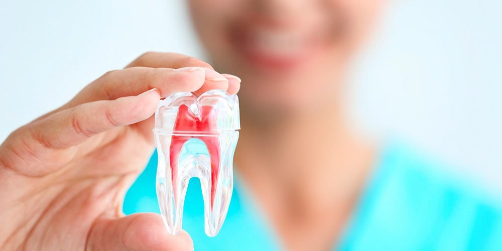 Endodontia